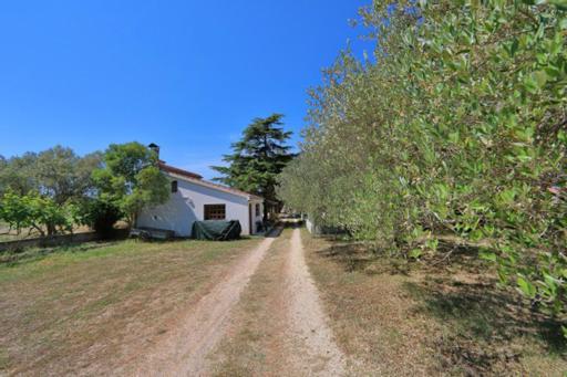 Apartmani Pjer 2 Bibinje Exteriér fotografie